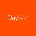 daybird