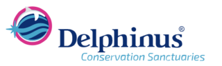 Delphinus