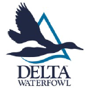 Delta Waterfowl