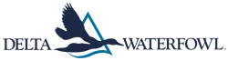 Delta Waterfowl