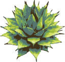 Diggardens