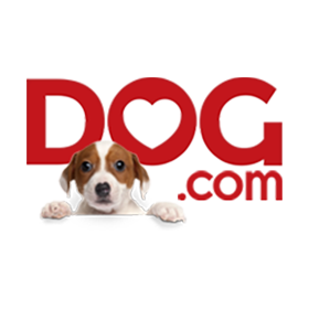 Dog.com