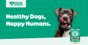 Doggiedailies