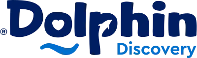 Dolphin Discovery
