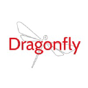 Dragonfly Brand