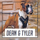 Dtdogcollars