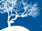 Dunevacationrentals