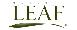 Eastern Leaf