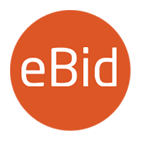 eBid Holding USA