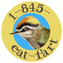 www.effinbirds.com