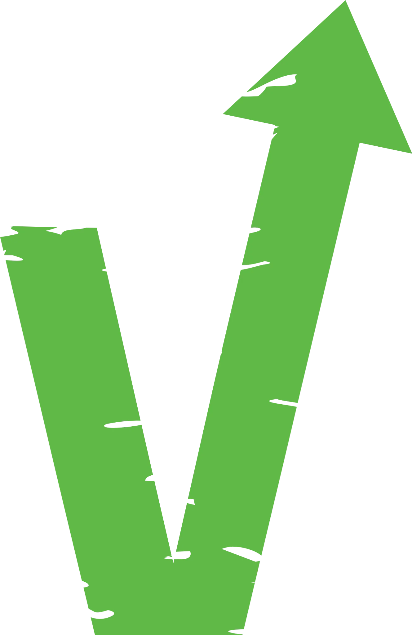 Elevate Trampoline Park