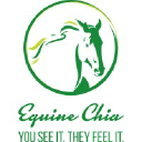Equine Chia