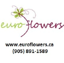 Euro Flowers