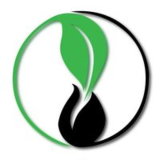 Evergreen Wrapping