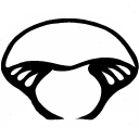 Far West Fungi