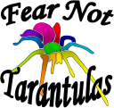 Fear Not Tarantulas