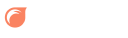 Firetoys