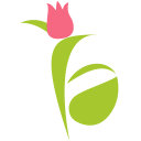 Flower Aura