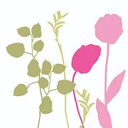 Flowerschoolla