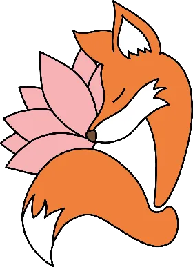 Foxy's Leotards