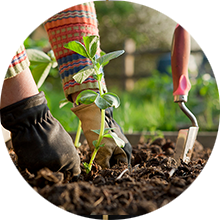 Gardening Tools & Equipment