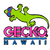 Geckohawaii