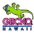Geckohawaii
