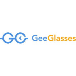 GeeGlasses