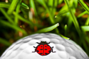 Golfdotz