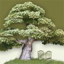 Green Cradle