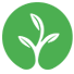 Greenfloralcrafts