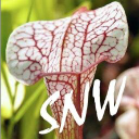 Growcarnivorousplants