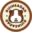 guineadad