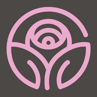 Heirloom Roses