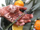 Henna Caravan