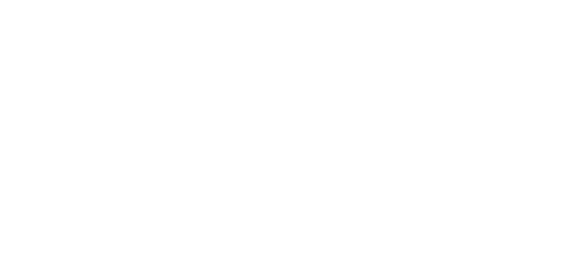 Holey Moley