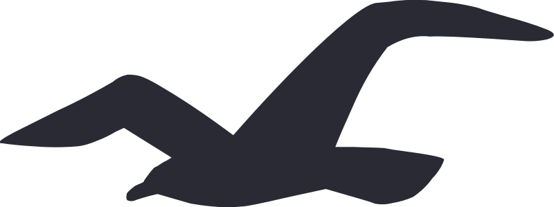 Hollister Co.