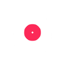 innersleeve