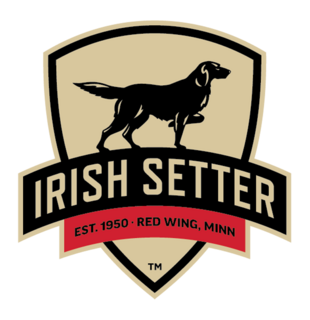 Irish Setter