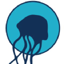Jellyfishart