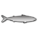 Kanama