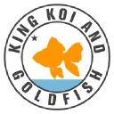 King Koi and Goldfish