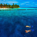Kurumba