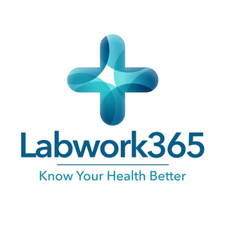 labwork365