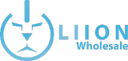 Liion Wholesale