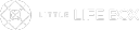 Little Life Box