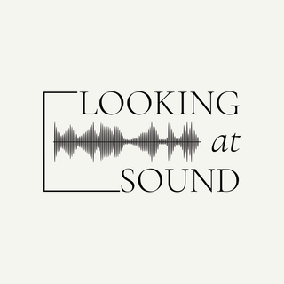 Looking at Sound