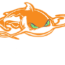 Mad Katz Gear