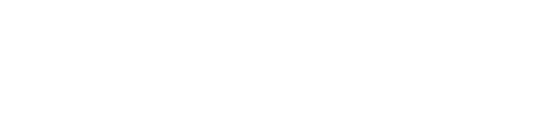 Malaysia Airlines