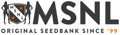 Marijuana-seeds